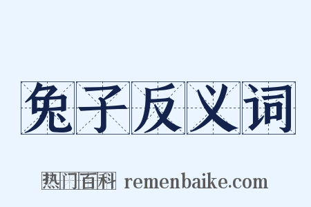 兔子反义词是什么意思的图片